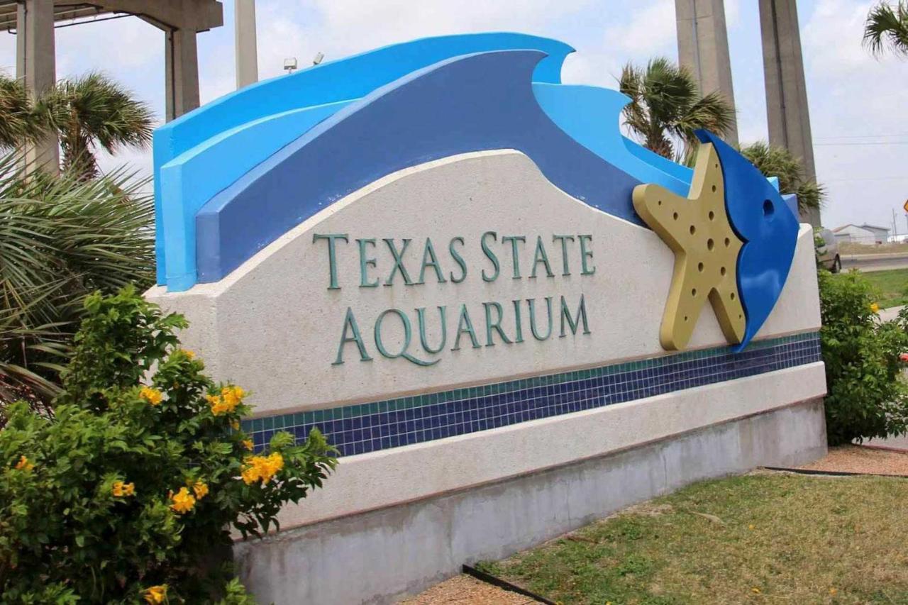Corpus Christi Condo With Pool Access, Walk To Beach Extérieur photo